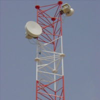 Microwave Network Service